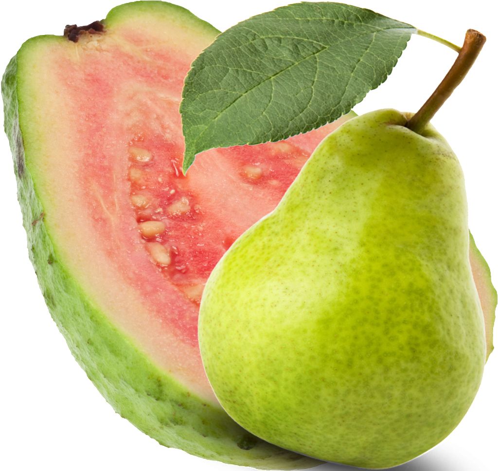 Guava PNG    图片编号:73178