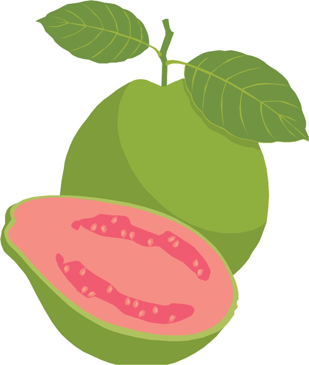 Guava PNG    图片编号:73128