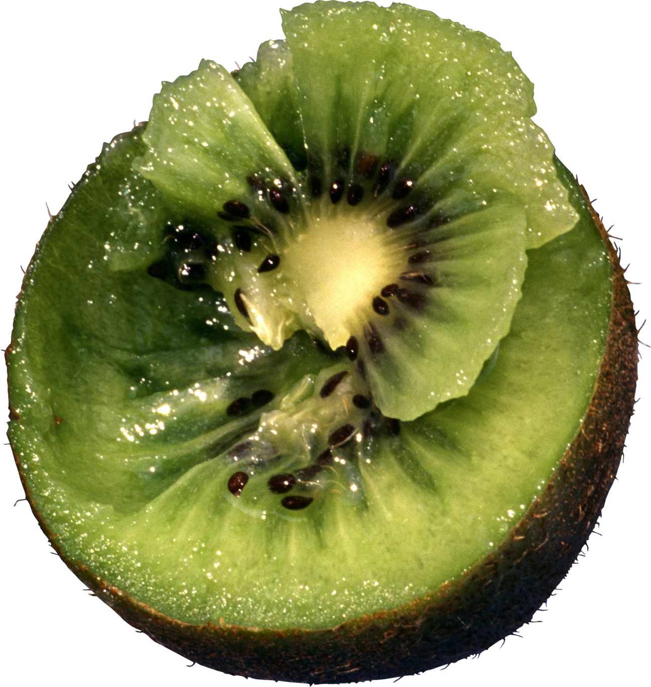 Kiwi PNG image, free fruit kiwi PNG pictures download    图片编号:4017