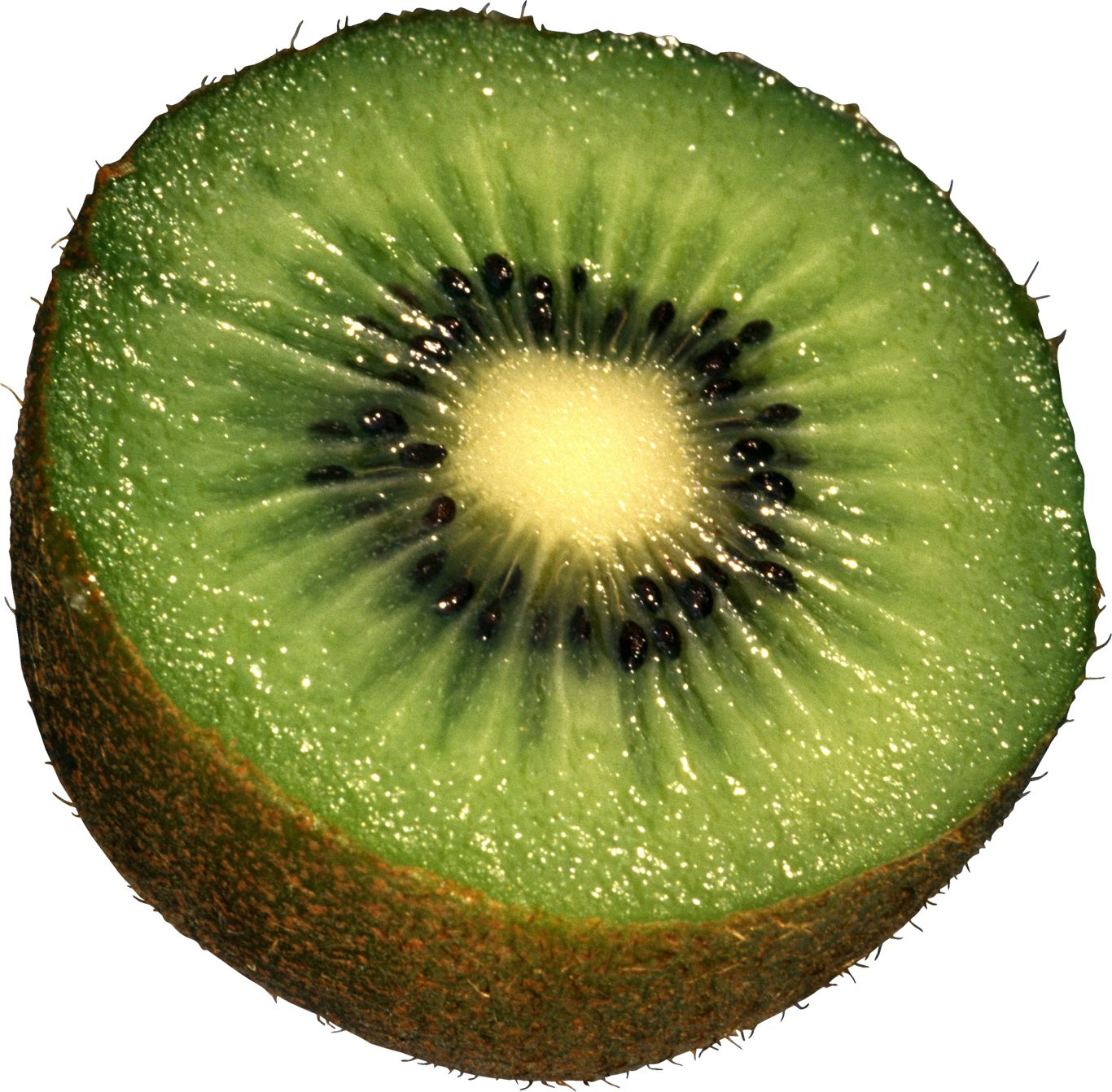 Kiwi PNG image, free fruit kiwi PNG pictures download    图片编号:4024