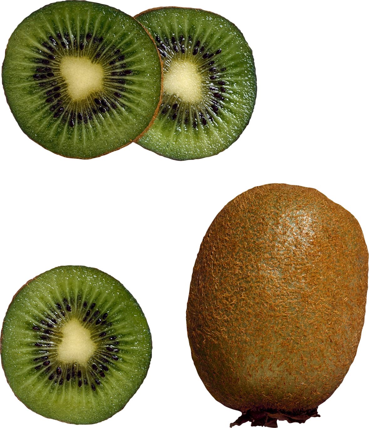 Kiwi PNG image, free fruit kiwi PNG pictures download    图片编号:4026