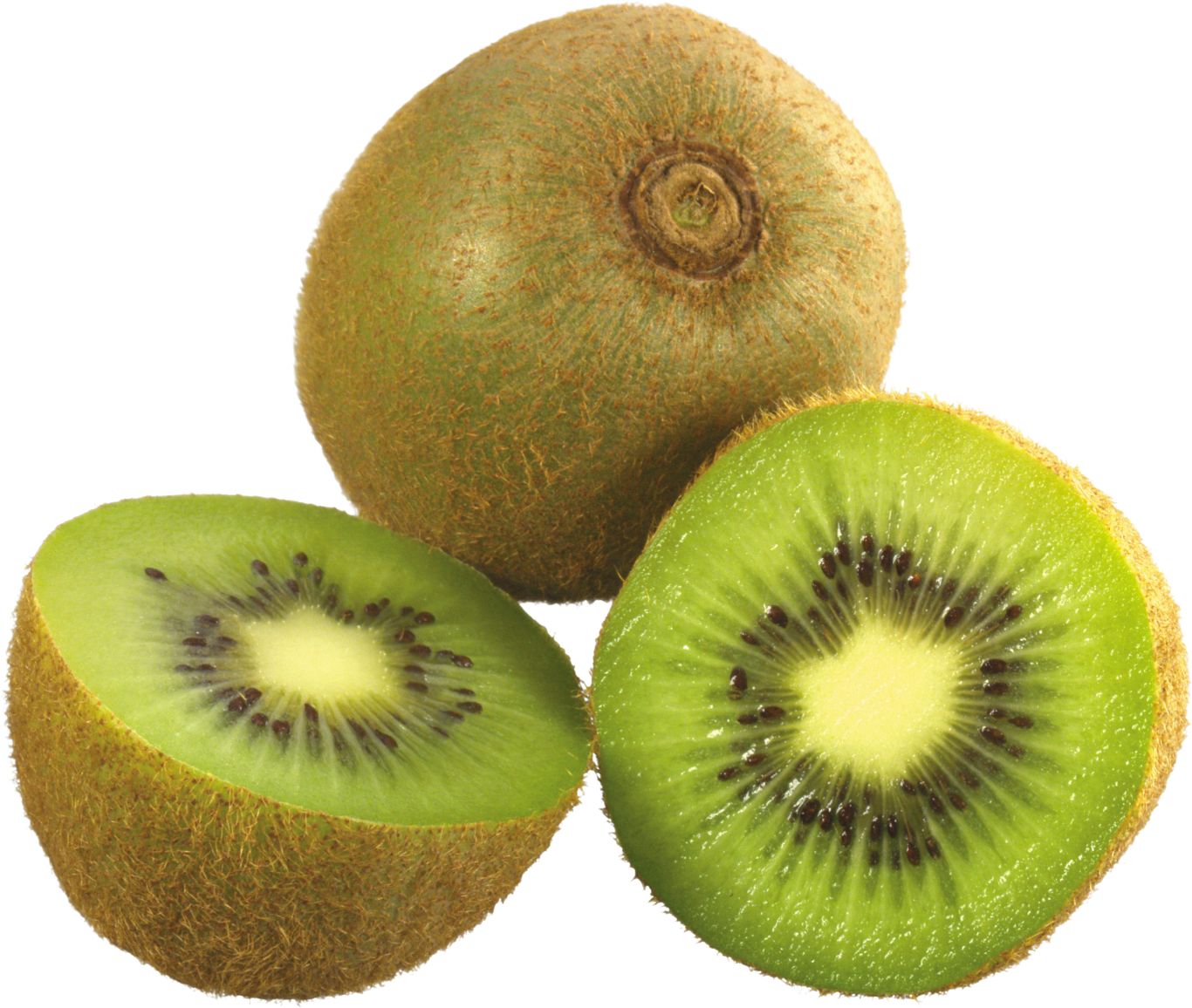 Kiwi PNG image, free fruit kiwi PNG pictures download    图片编号:4028