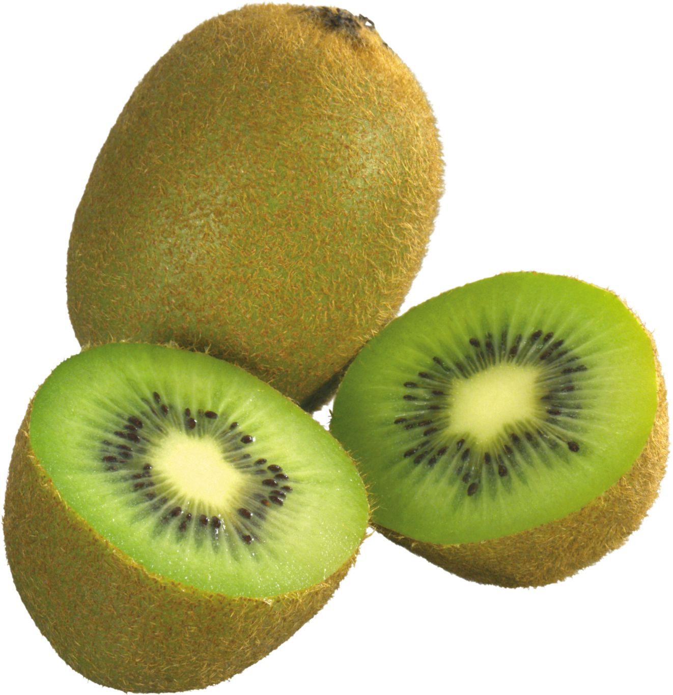 Kiwi PNG image, free fruit kiwi PNG pictures download    图片编号:4029
