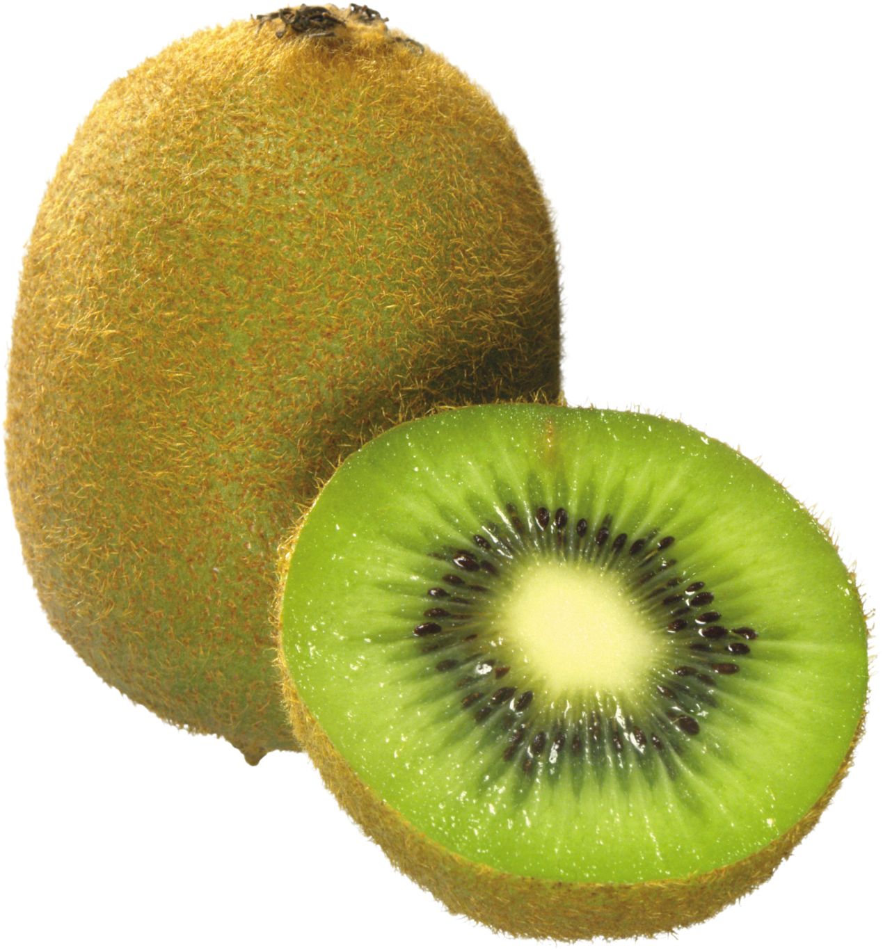 Kiwi PNG image, free fruit kiwi PNG pictures download    图片编号:4030