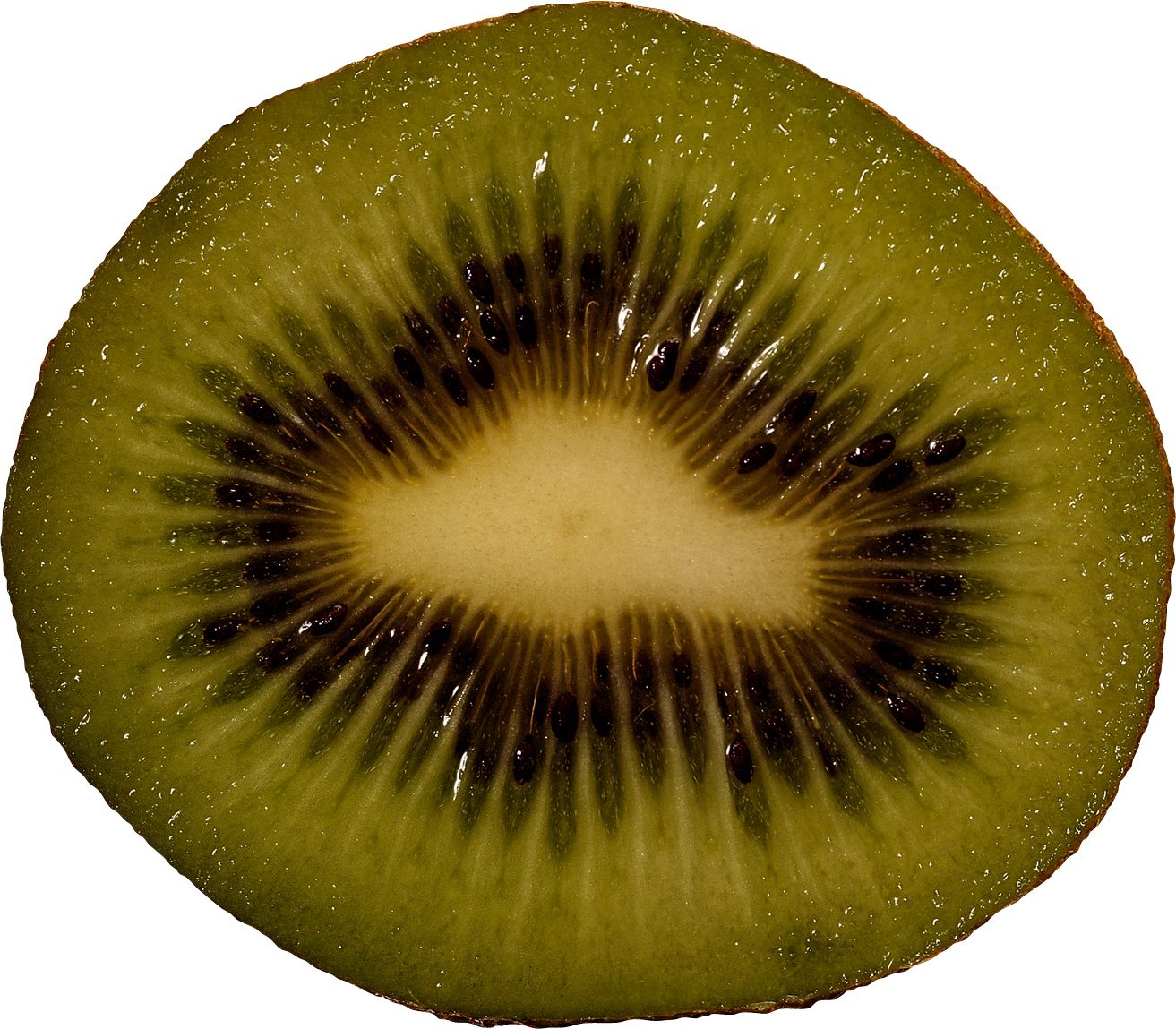 Kiwi PNG image, free fruit kiwi PNG pictures download    图片编号:4031