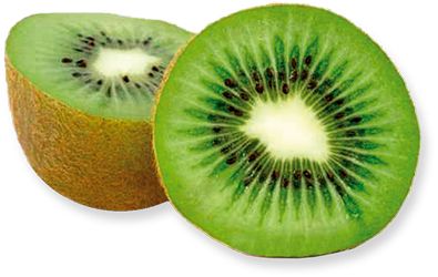 Kiwi PNG image, free fruit kiwi PNG pictures download    图片编号:4036