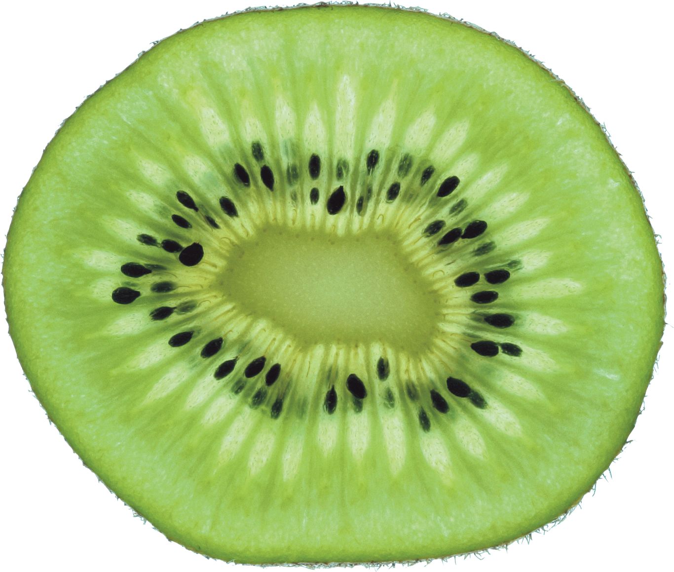 Green cutted kiwi PNG image    图片编号:4037