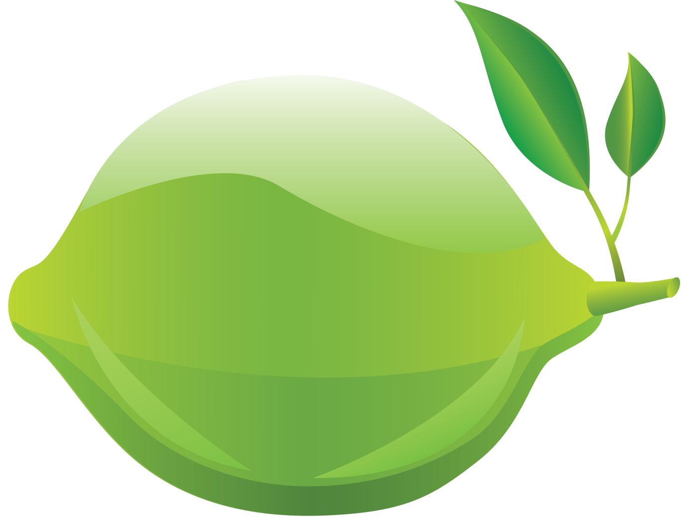 Lime PNG    图片编号:25238