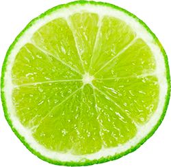 Lime PNG    图片编号:25242
