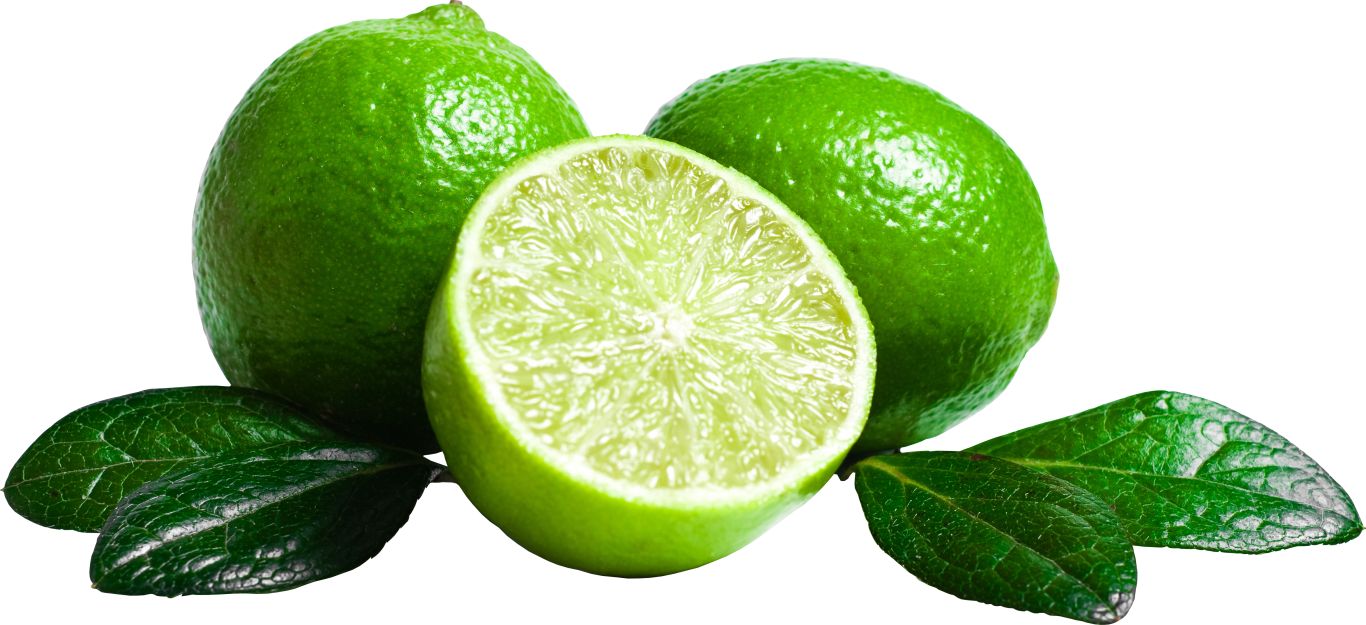 Lime PNG    图片编号:25244
