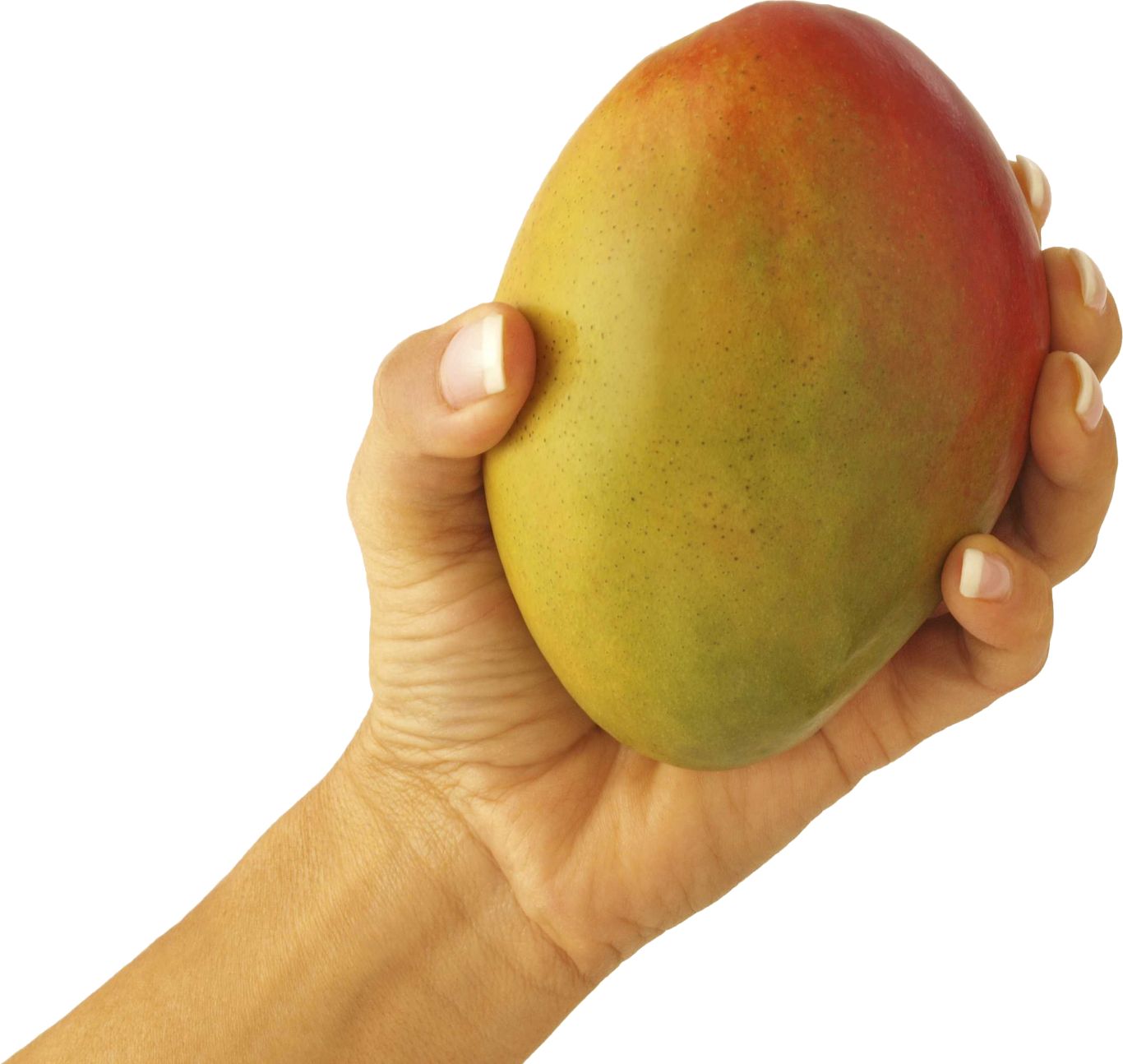 Mango in hand PNG image    图片编号:9167