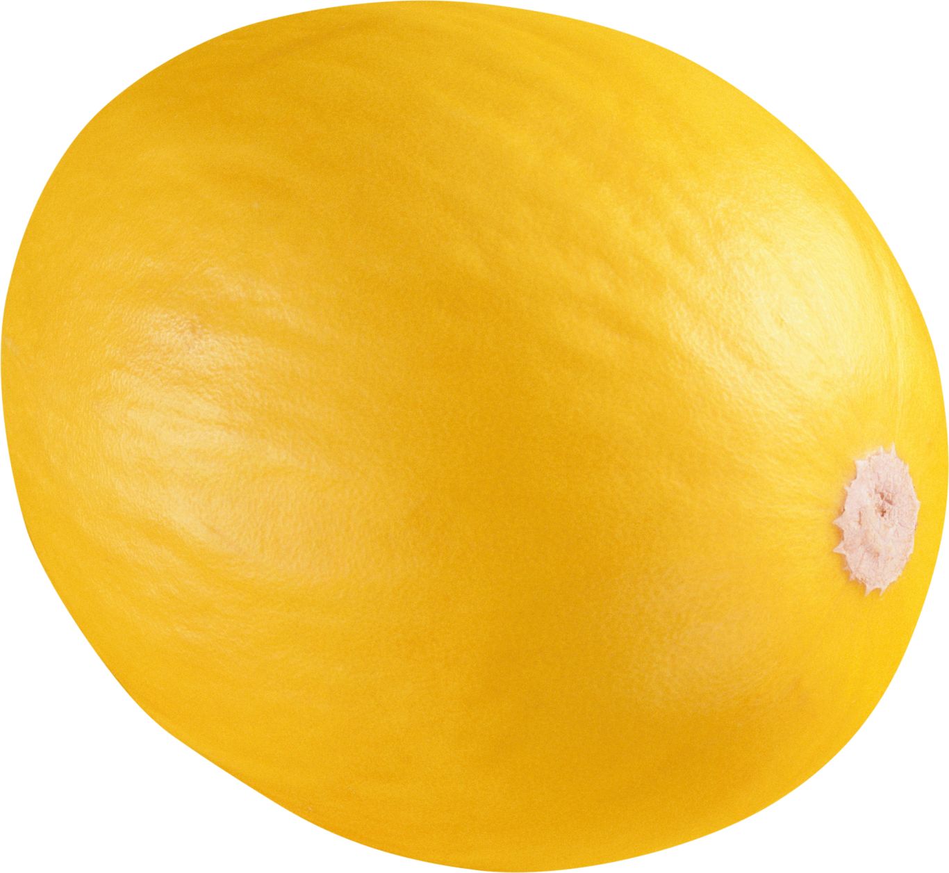 Melon PNG    图片编号:14355
