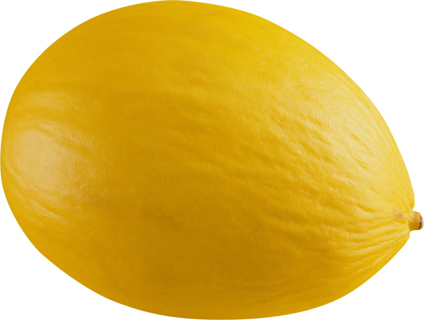 Melon PNG    图片编号:14356