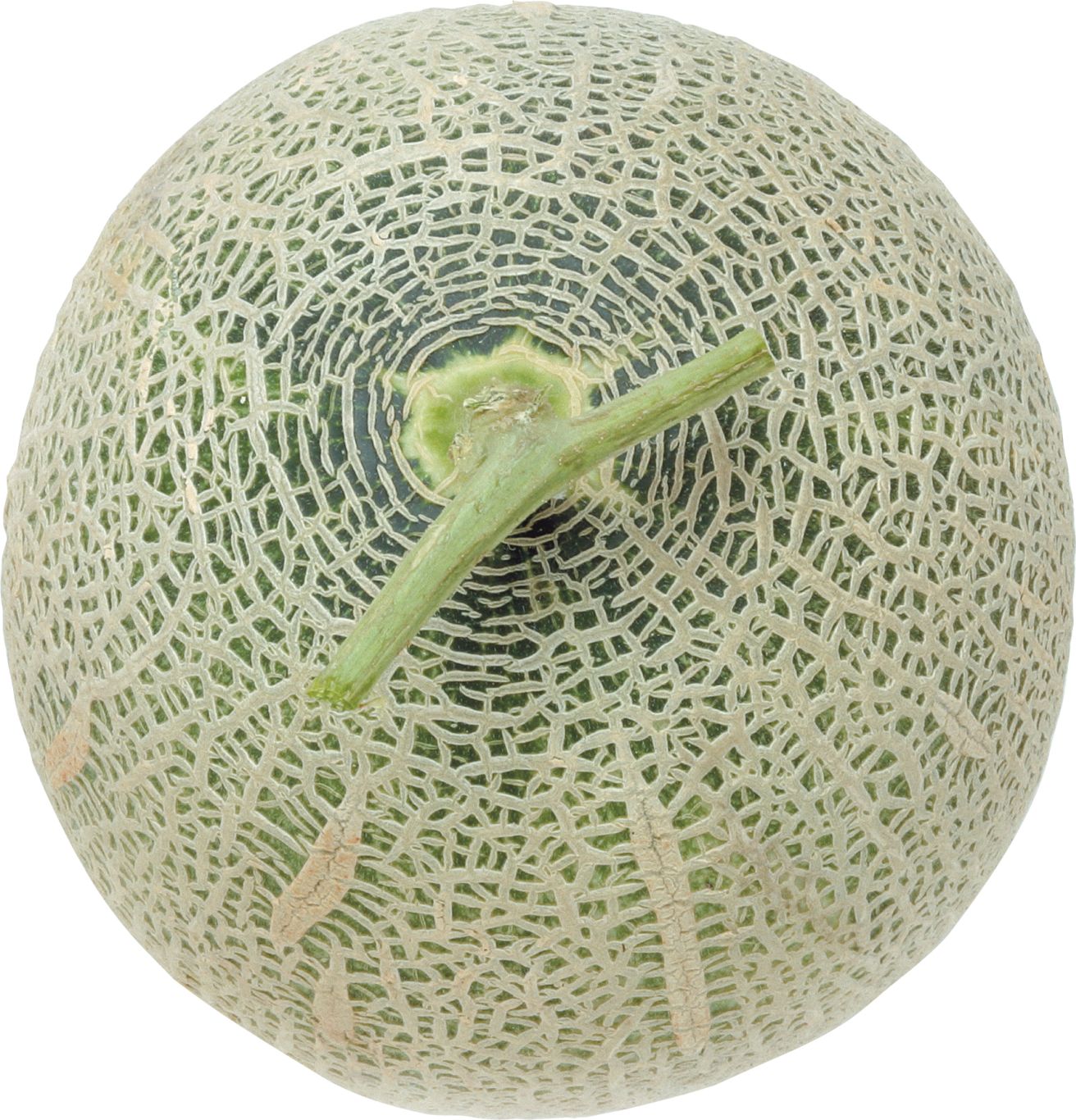 Melon PNG    图片编号:14357
