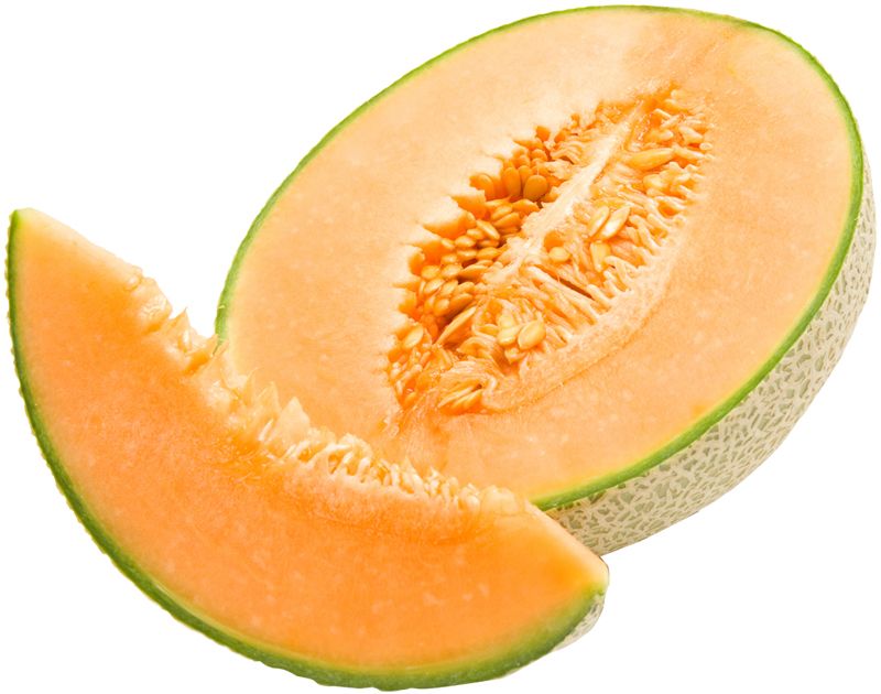 Melon PNG    图片编号:14359