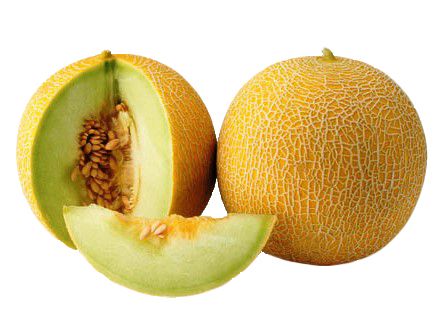 Melon PNG    图片编号:14360