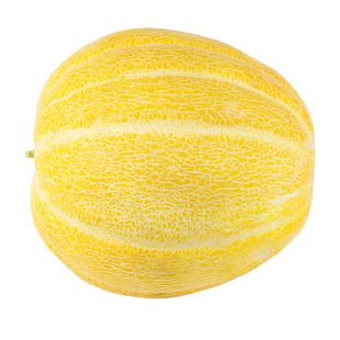 Melon PNG    图片编号:14363