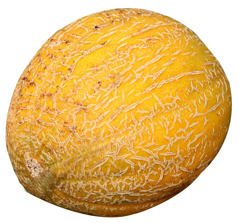 Melon PNG    图片编号:14364