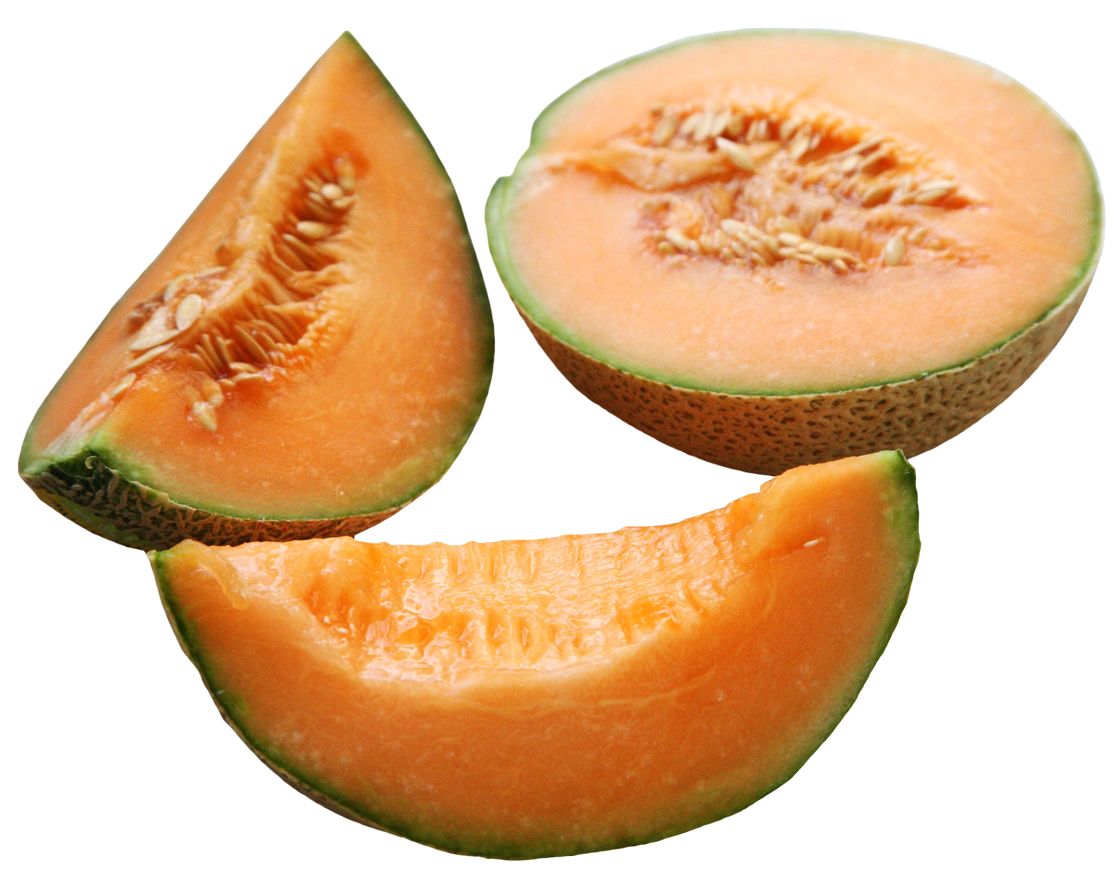 Melon PNG    图片编号:14365