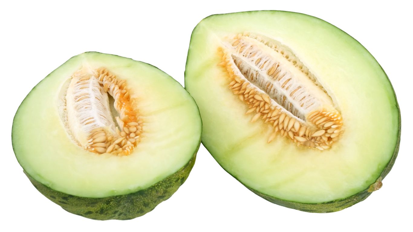 Melon PNG    图片编号:14369