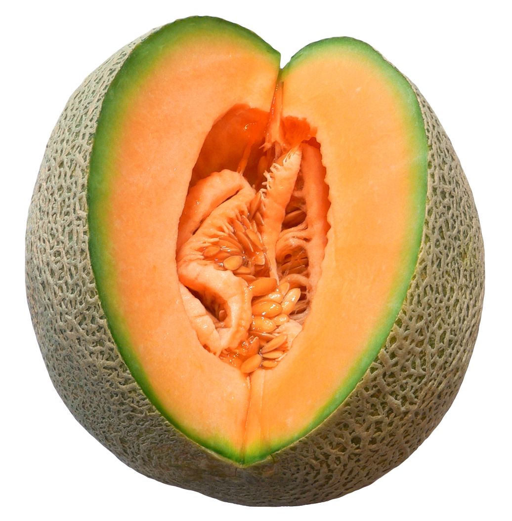 Melon PNG    图片编号:14370