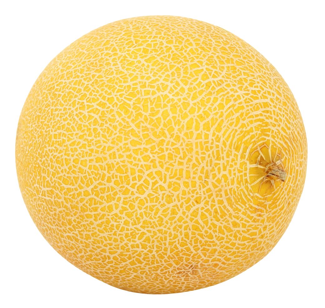 Melon PNG    图片编号:14372