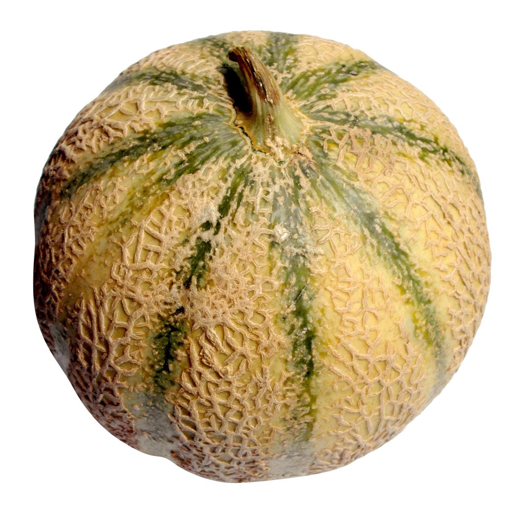 Melon PNG    图片编号:14373