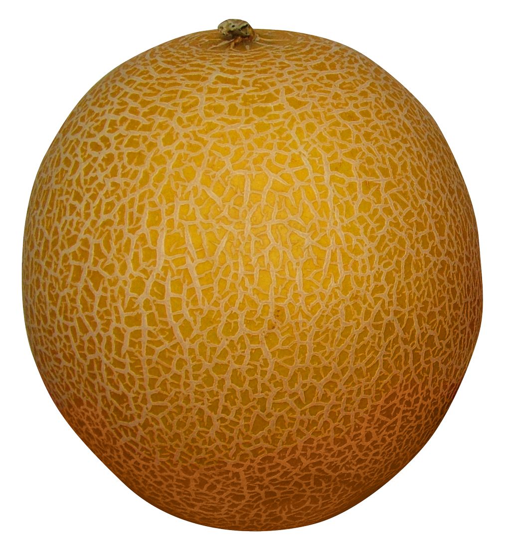 Melon PNG    图片编号:14374