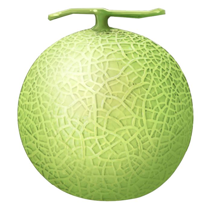 Melon PNG    图片编号:14375