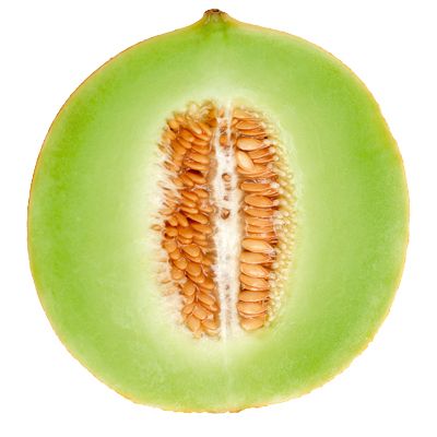 Melon PNG    图片编号:14376