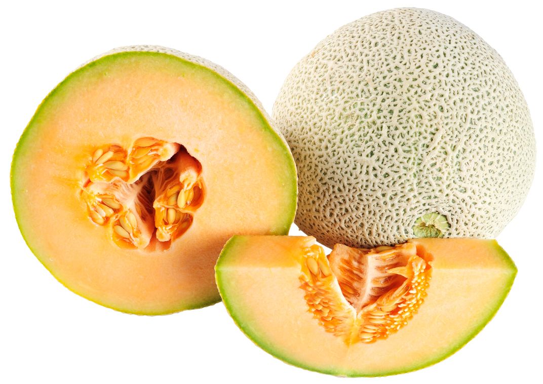 Melon PNG    图片编号:14377