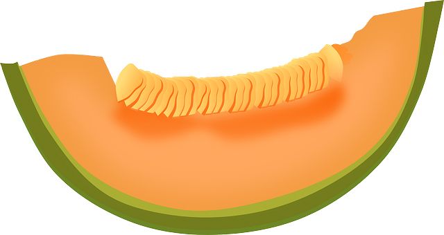 Slice melon PNG    图片编号:14378