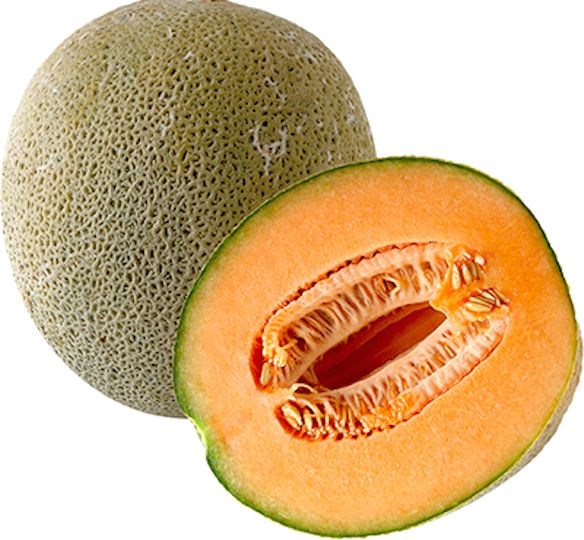 Melon PNG    图片编号:14379