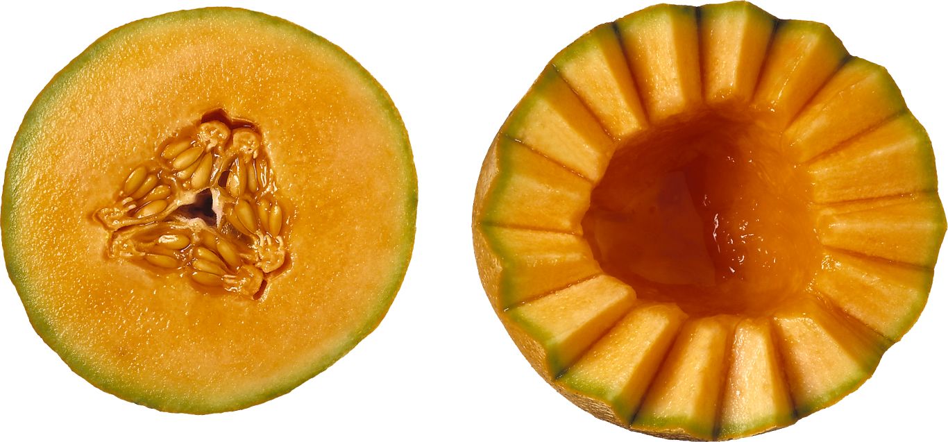 Melon PNG    图片编号:14381