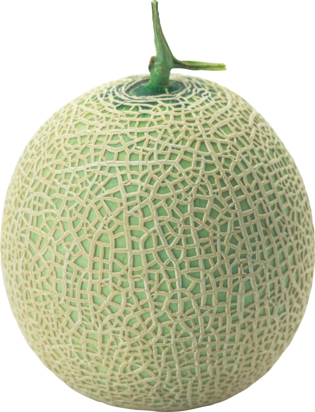 Melon PNG    图片编号:14382