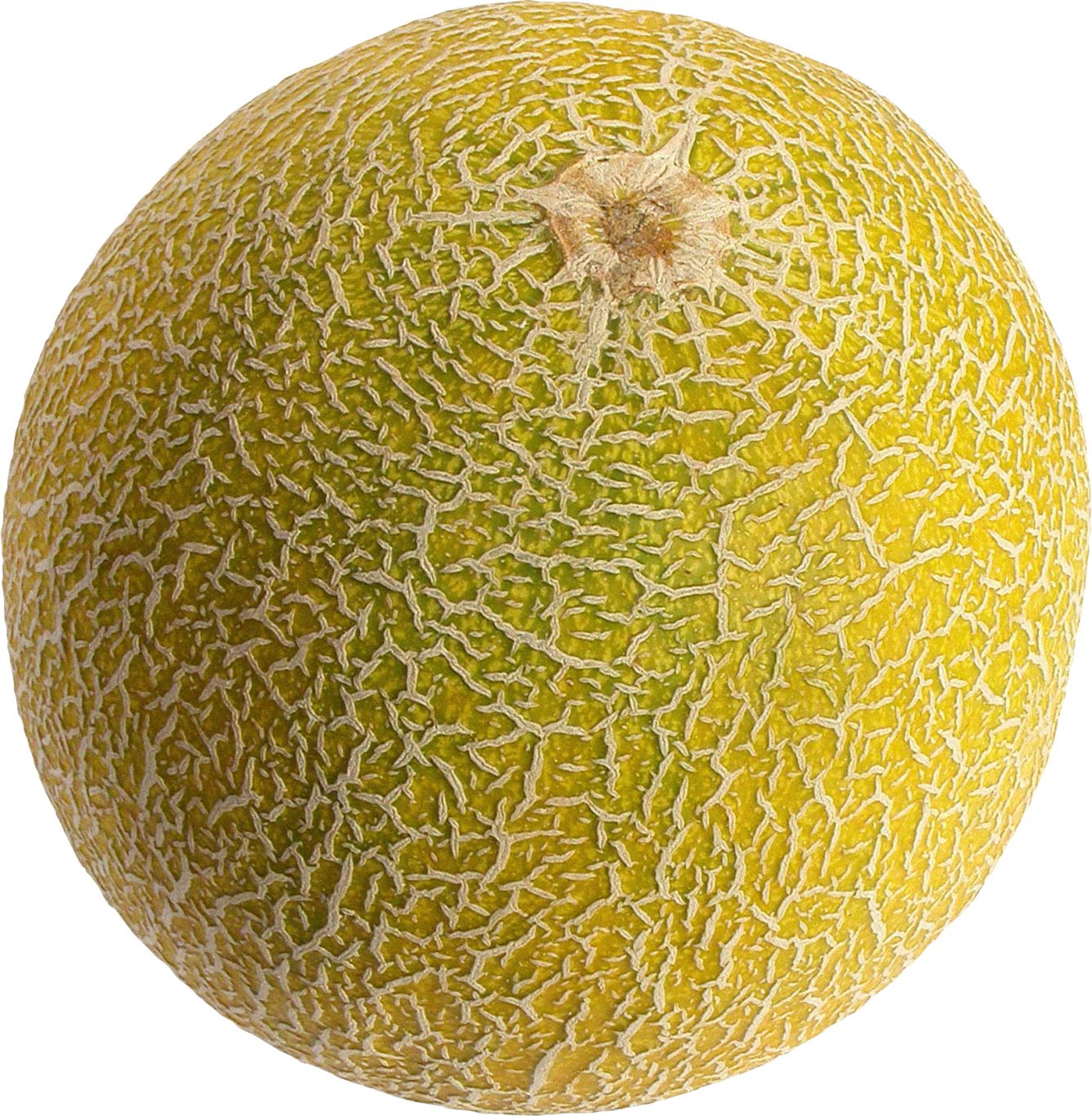 Melon PNG    图片编号:14383