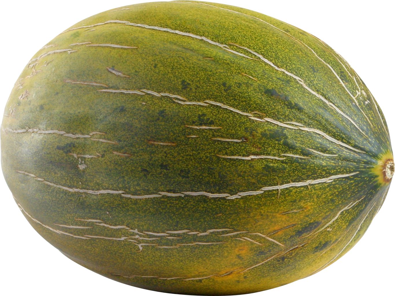 Melon PNG    图片编号:14384