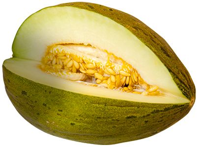 Melon PNG    图片编号:14389