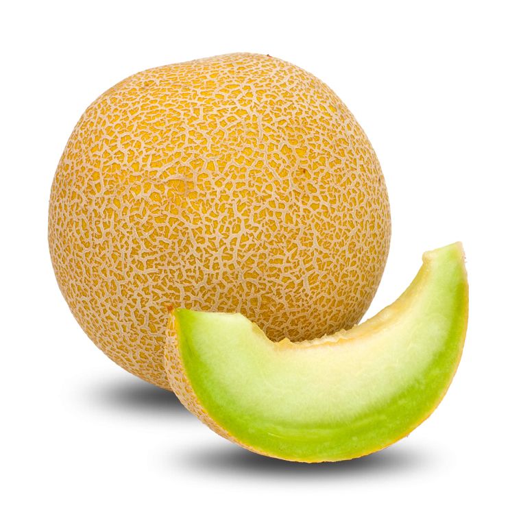 Melon PNG    图片编号:14390