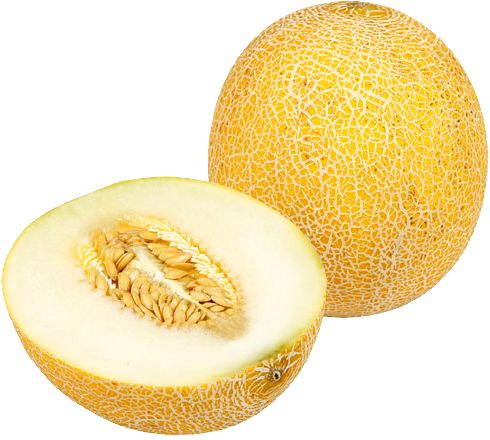 Melon PNG    图片编号:14391