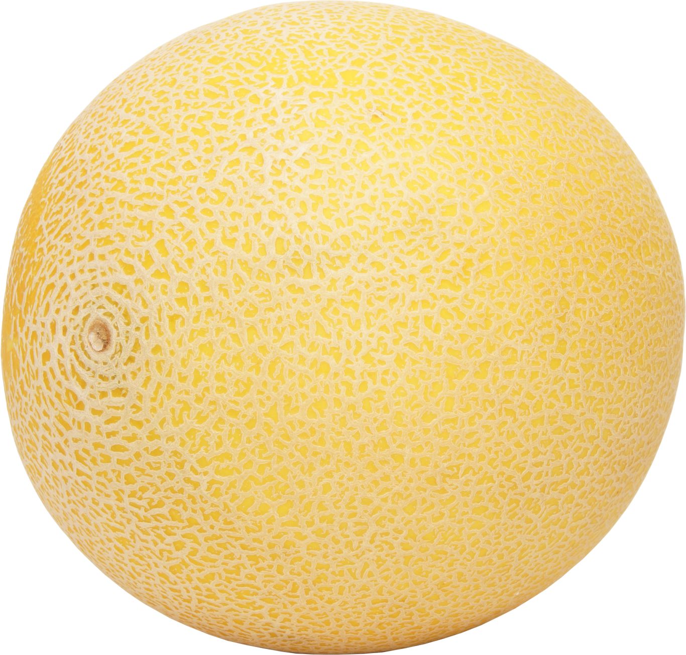 Melon PNG    图片编号:14392