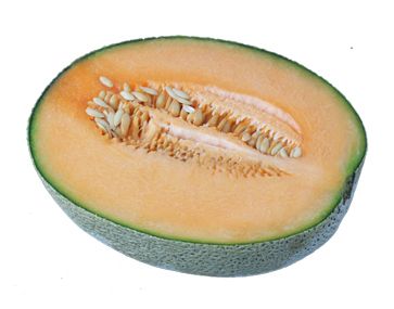 Melon PNG    图片编号:14394