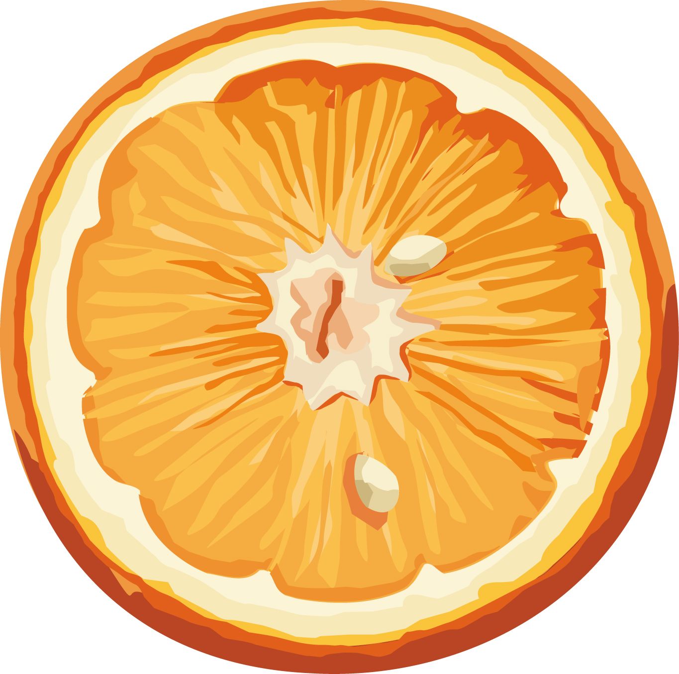 Orange PNG image, free download    图片编号:747