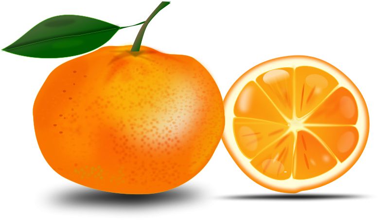 Orange PNG image, free download    图片编号:750