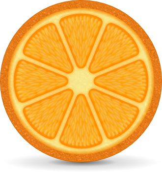 Orange PNG image, free download    图片编号:751