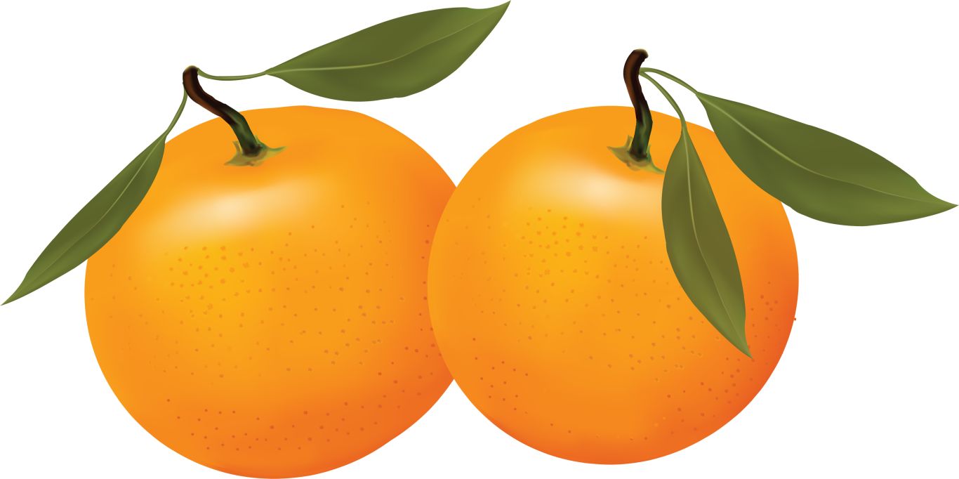 Orange PNG image, free download    图片编号:757