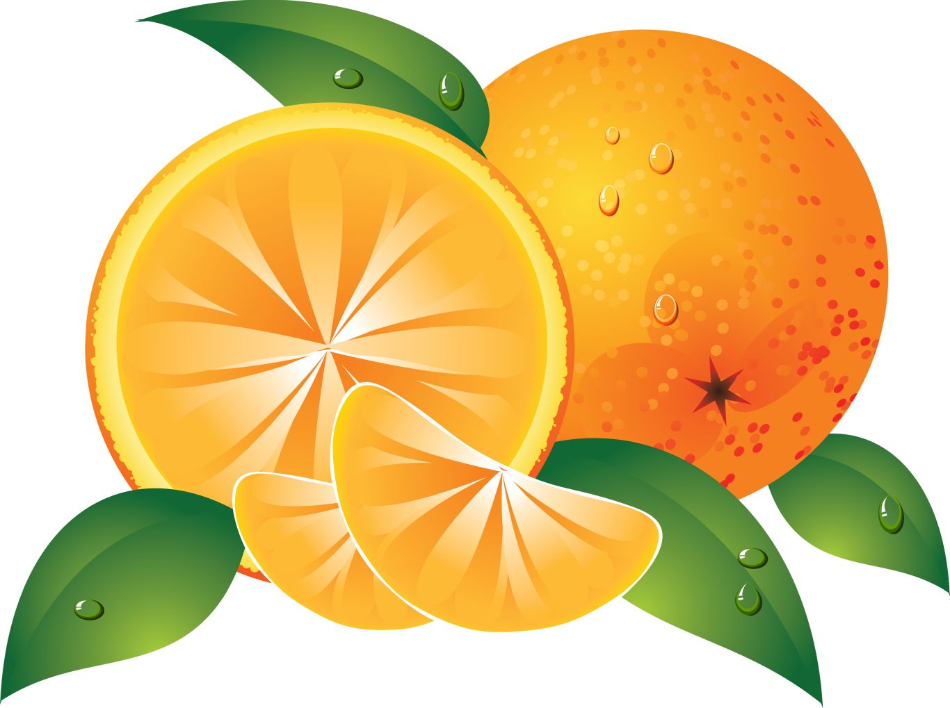 Oranges drawing PNG image    图片编号:763