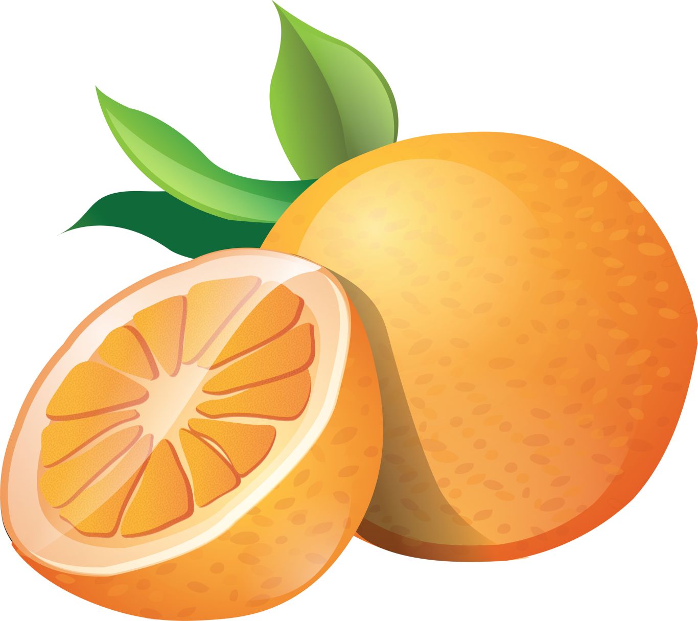 Orange drawing PNG image    图片编号:764