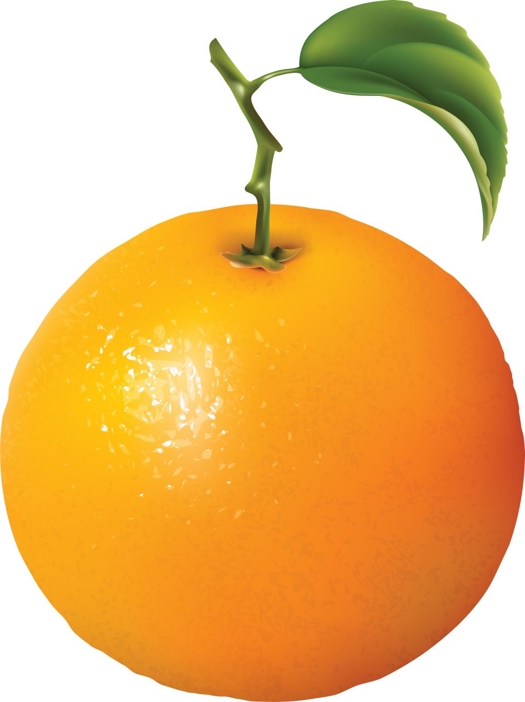 Orange PNG image with gree leaf    图片编号:772