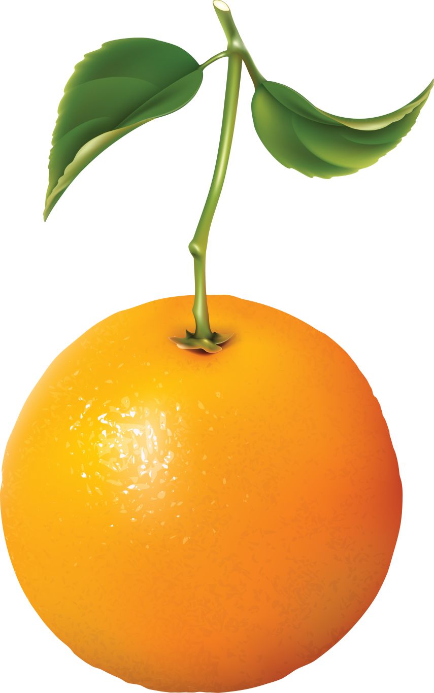 Orange PNG image with gree leaves transparent    图片编号:773